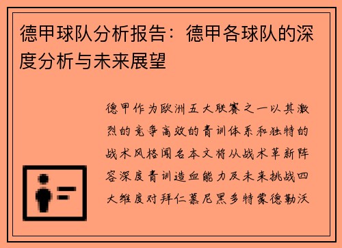 德甲球队分析报告：德甲各球队的深度分析与未来展望