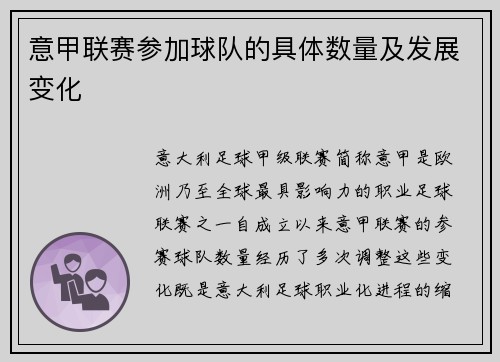 意甲联赛参加球队的具体数量及发展变化
